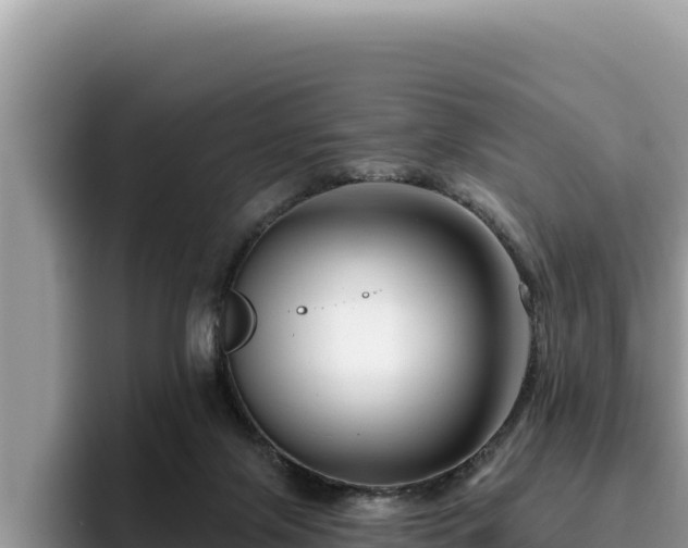 X0000095900071200801181254