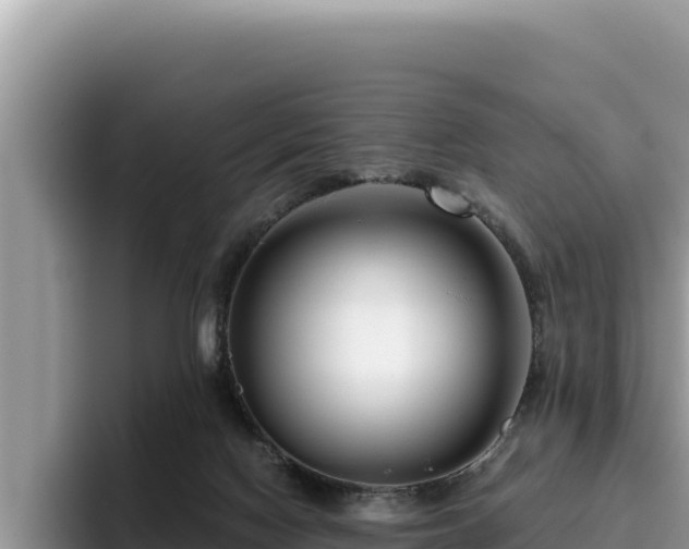 X0000095900074200801181254