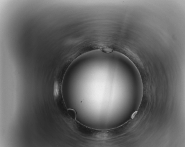 X0000095900075200801181254