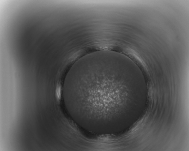 X0000095900076200801181254