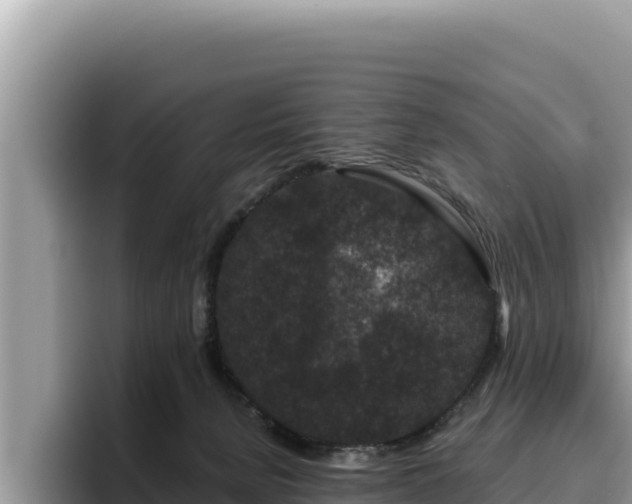 X0000095900080200801181254