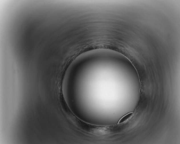 X0000095900086200801181254