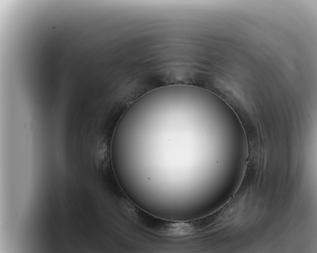 X0000095900087200801181254