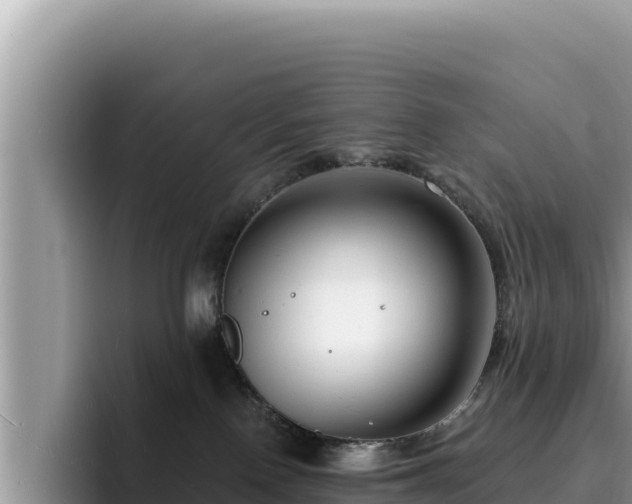 X0000095900090200801181254