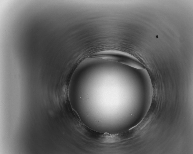 X0000095900093200801181254