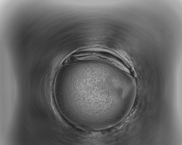 X0000095900097200801181254