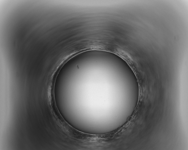 X0000095900098200801181254