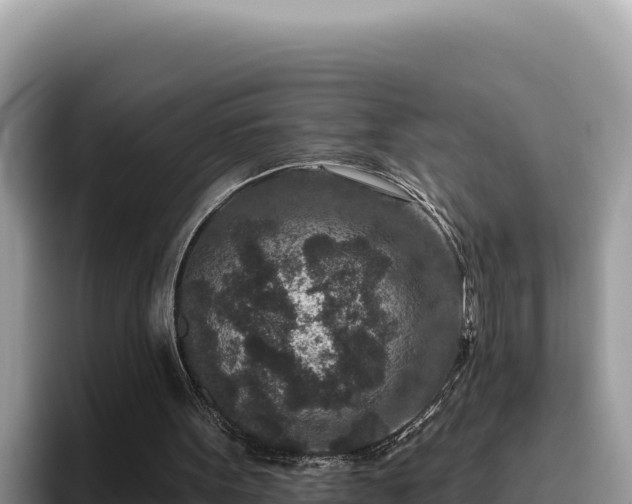 X0000095900099200801181254