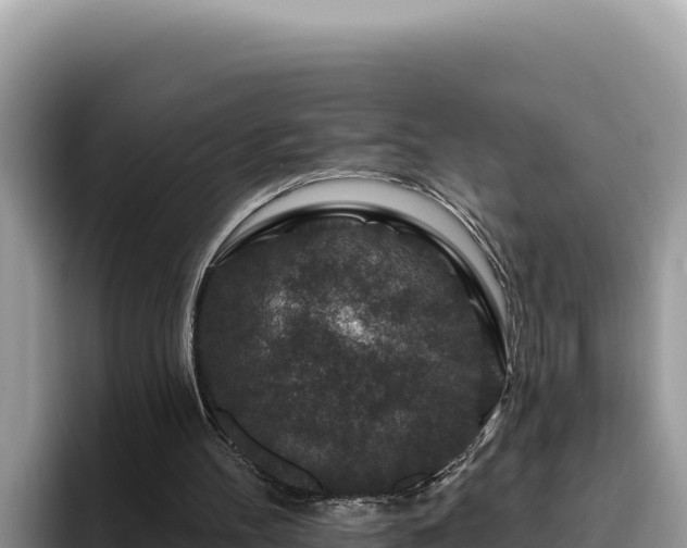 X0000095900100200801181254