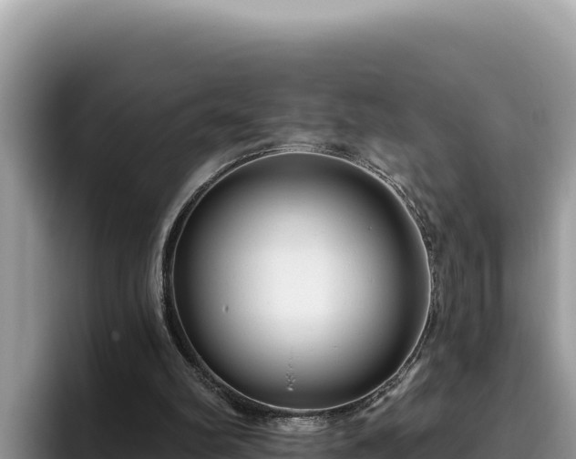 X0000095900102200801181254