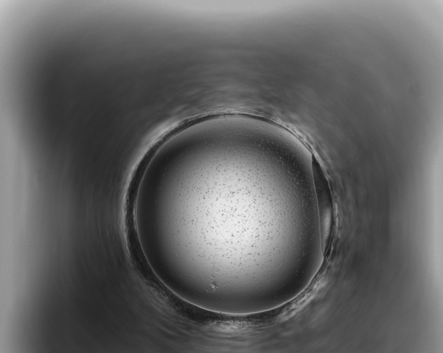 X0000095900104200801181254