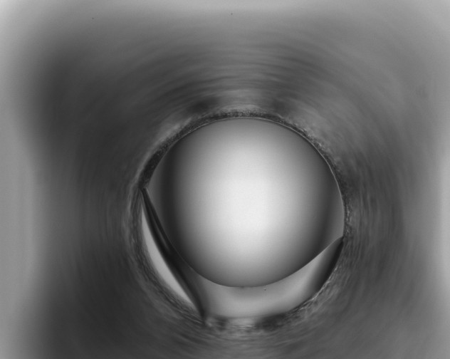 X0000095900112200801181254