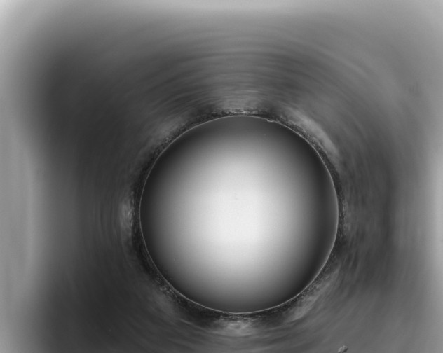 X0000095900113200801181254