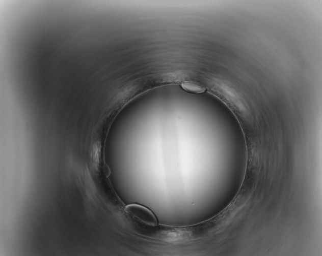 X0000095900118200801181254