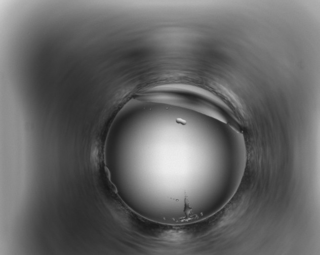 X0000095900119200801181254