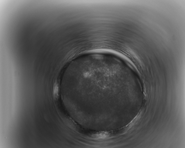 X0000095900124200801181253