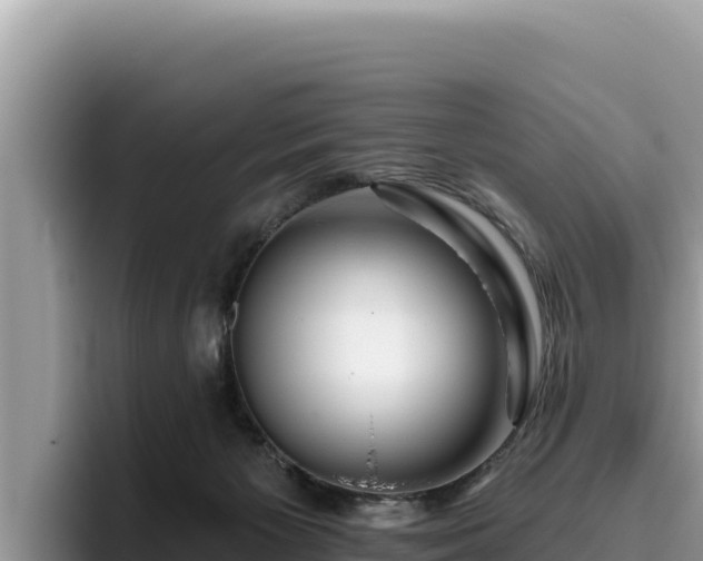 X0000095900125200801181253