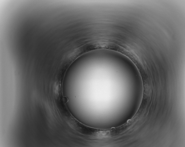 X0000095900126200801181253