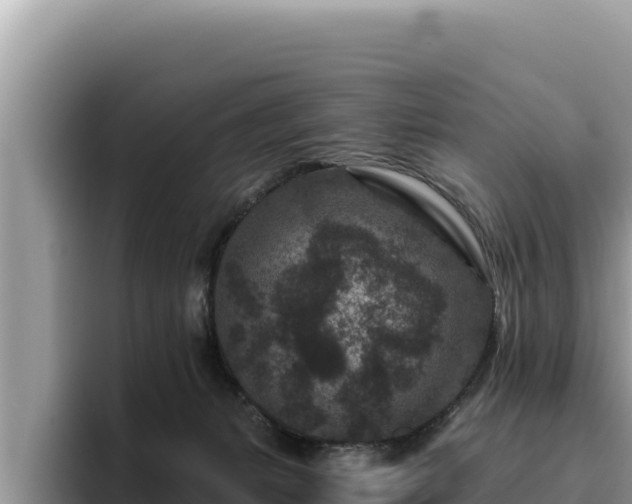 X0000095900127200801181253