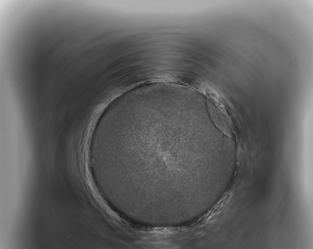 X0000095900145200801181253