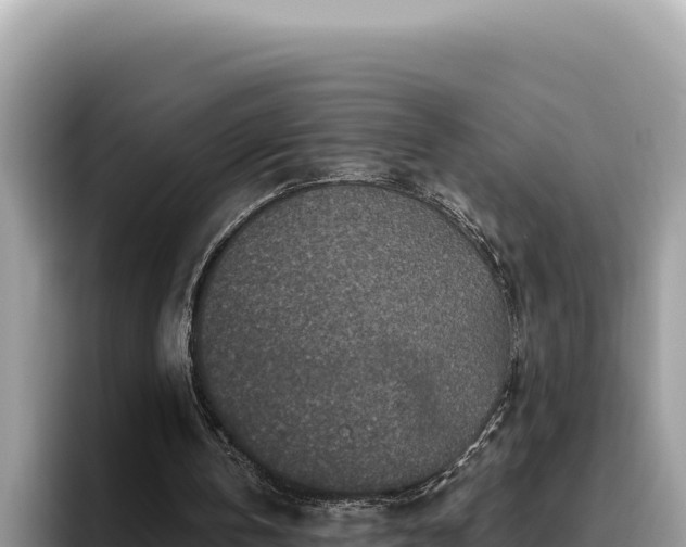 X0000095900146200801181253