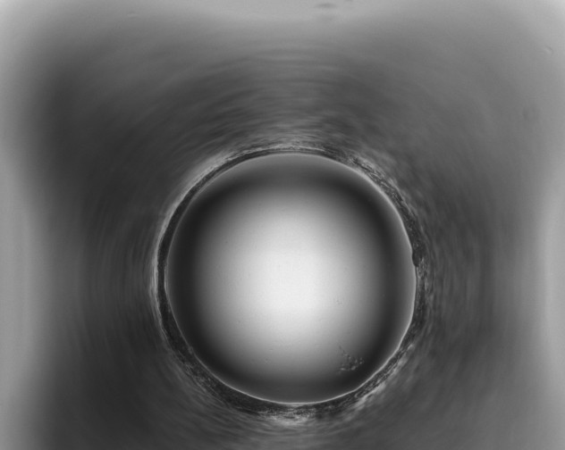 X0000095900148200801181253