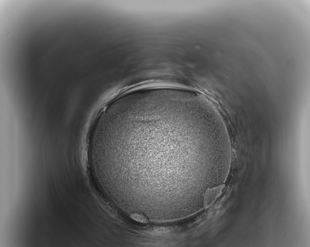 X0000095900149200801181253