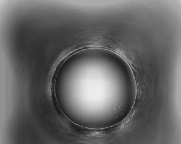 X0000095900151200801181253