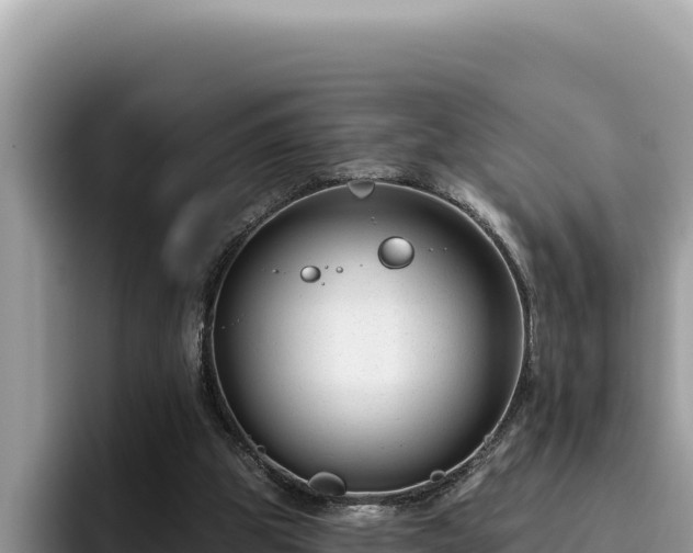 X0000095900153200801181253