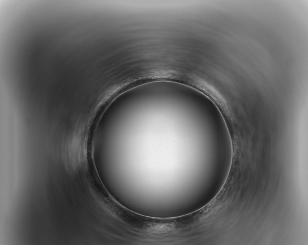 X0000095900155200801181253