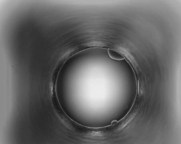 X0000095900157200801181253