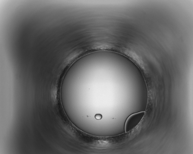 X0000095900159200801181253