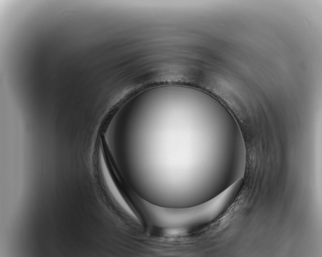 X0000095900160200801181253