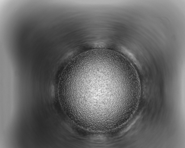 X0000095900161200801181253