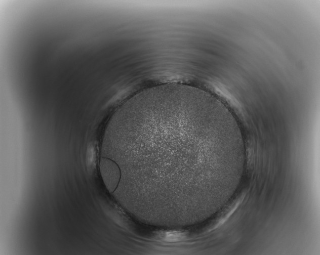 X0000095900165200801181253