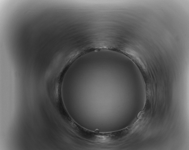 X0000095900167200801181253