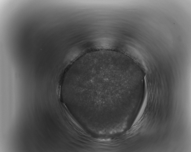 X0000095900168200801181253