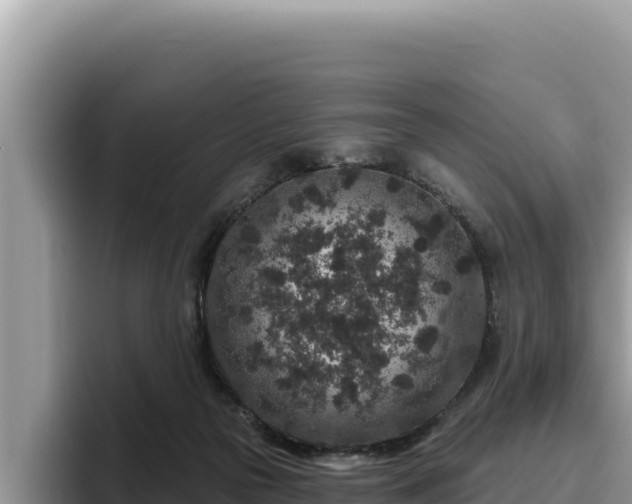 X0000095900169200801181253