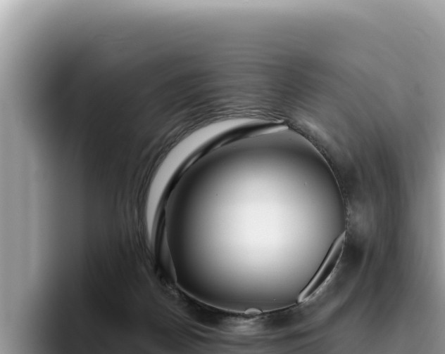 X0000095900170200801181253