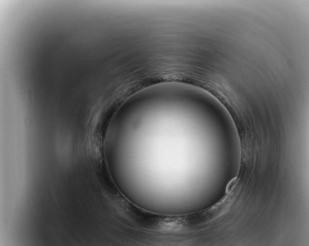 X0000095900175200801181253