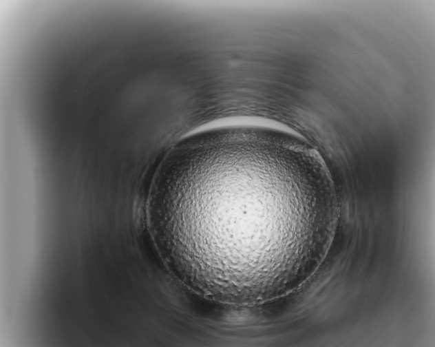 X0000095900177200801181253