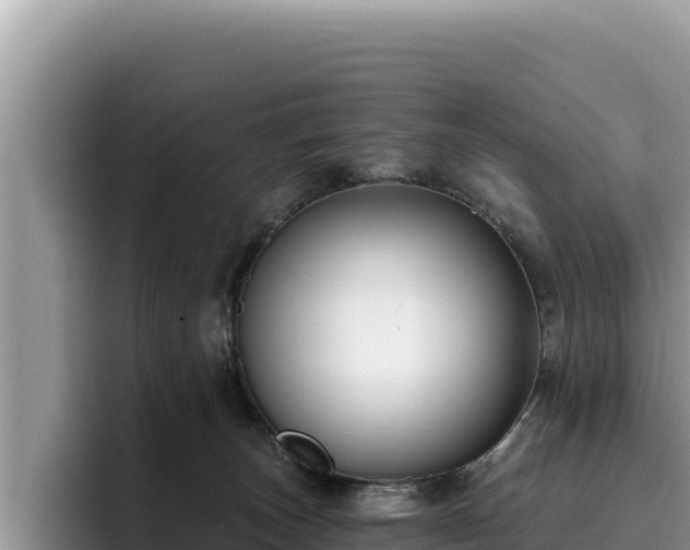 X0000095900179200801181253