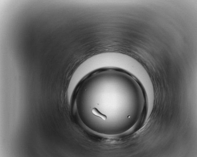 X0000095900180200801181253