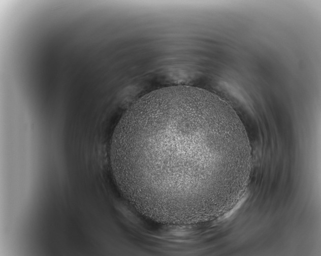 X0000095900182200801181253