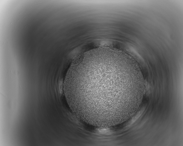 X0000095900189200801181253