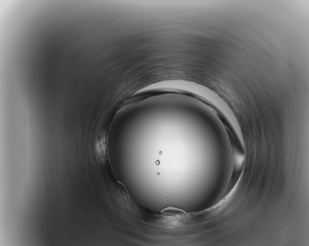 X0000095900190200801181253