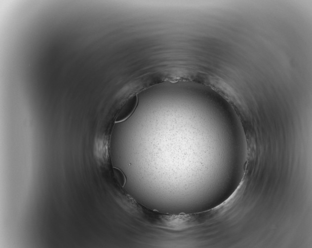 X0000095900191200801181253