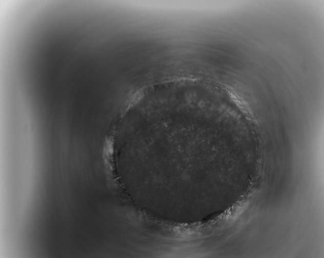 X0000095900192200801181253