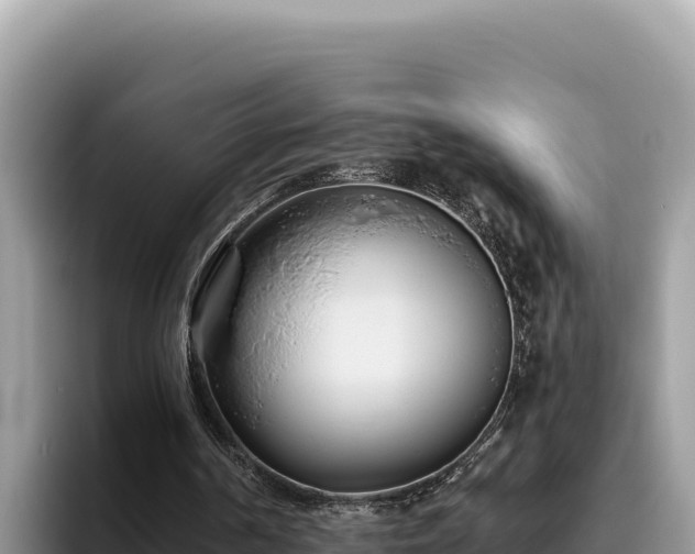 X0000095900194200801181253