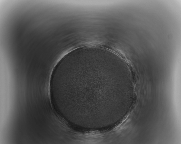 X0000095900196200801181253